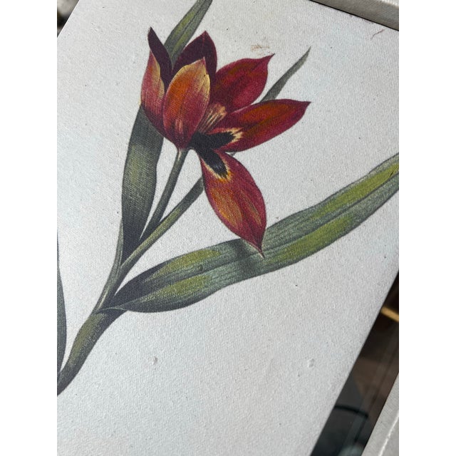 1970s 1970s Collection of Floral Signed Prints on Canvas - Set of 4 For Sale - Image 5 of 6