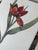 1970s 1970s Collection of Floral Signed Prints on Canvas - Set of 4 For Sale - Image 5 of 6