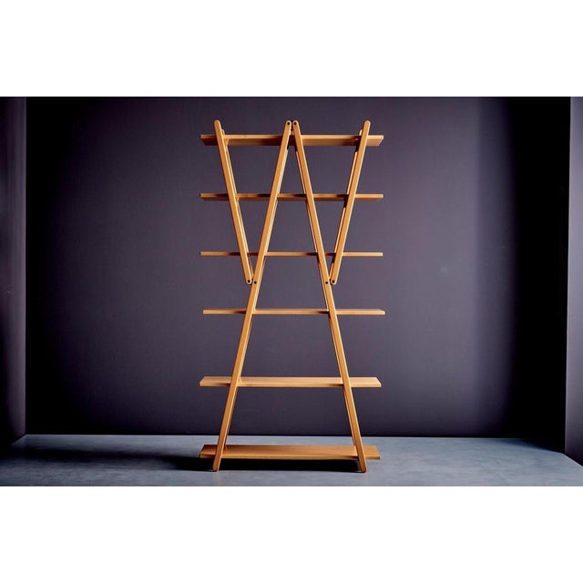 Cassina Red Cloud Bookshelf attributed to Vico Magistretti for Cassina, 1970s For Sale - Image 4 of 10
