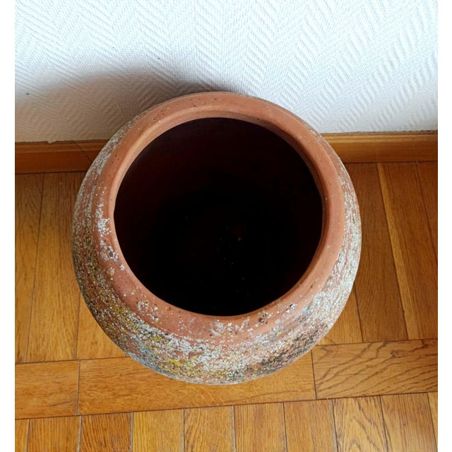 Terracotta Garden Jar, 1950s For Sale - Image 8 of 10