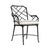 Brown Jordan Calcutta Arm Chair in Black Jade with Sea Salt and Castaway Welt Cushions For Sale