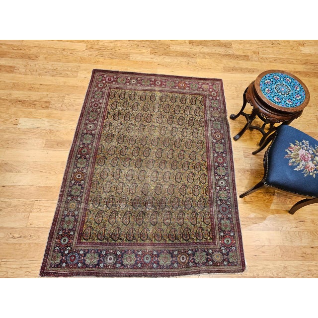 1900 - 1909 Vintage Persian Tabriz Rug, Hand-Knotted Wool, Allover Paisley Pattern, Chartreuse & Red, 5x6 For Sale - Image 5 of 15