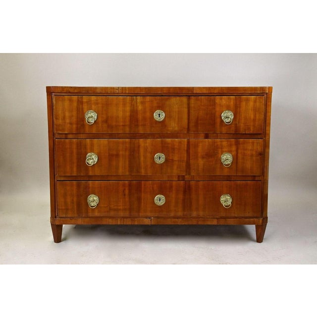 Wood 19th Century Biedermeier Chest of Drawers in Cherrywood, Austria, 1830s For Sale - Image 7 of 18