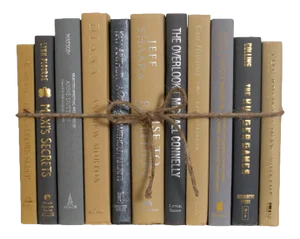 Decorative Books - Cloudy Haze Book Bundle - 1 Foot of Grey and Yellow Books