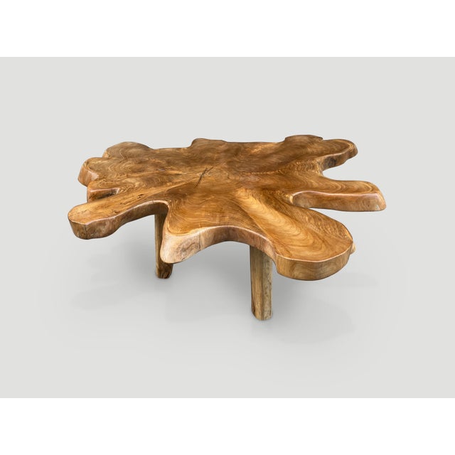 Andrianna Shamaris Single Slab Live Edge Teak Wood Coffee Table For Sale - Image 4 of 6
