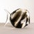 Vintage Italian Murano Glass Fish Sculpture from Seguso Vetri d'Arte, 1960 For Sale - Image 4 of 12