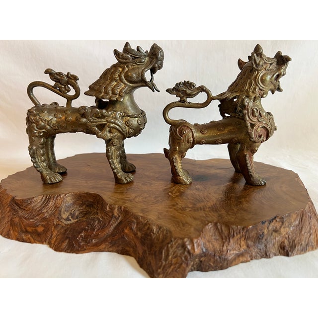 Very ornate and detailed solid brass Foo Dogs on wooden stand. Pair of unique figures in solid brass (bronze?) They are...