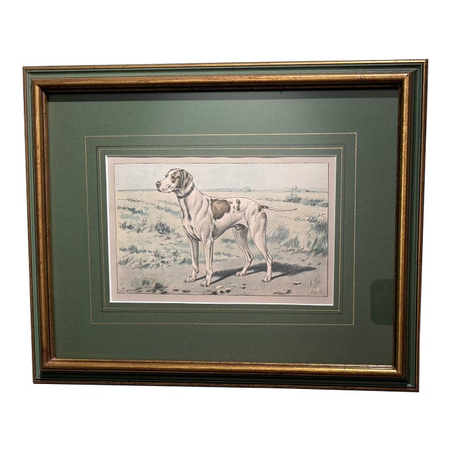 Beautifully Framed French Chromolithograph of Pointer Dog, Signed P. Mahler, Early 20th Century For Sale