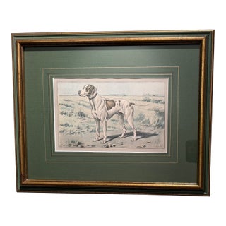 Beautifully Framed French Chromolithograph of Pointer, Signed P. Mahler, Early 20th Century For Sale