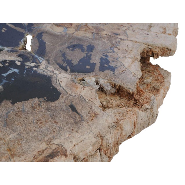 Contemporary Petrified Wood Coffee Table with Crystals by Xyleia Petrified Wood For Sale - Image 3 of 6