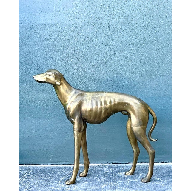 Late 20th Century Vintage Monumental Brass Greyhound For Sale - Image 5 of 16