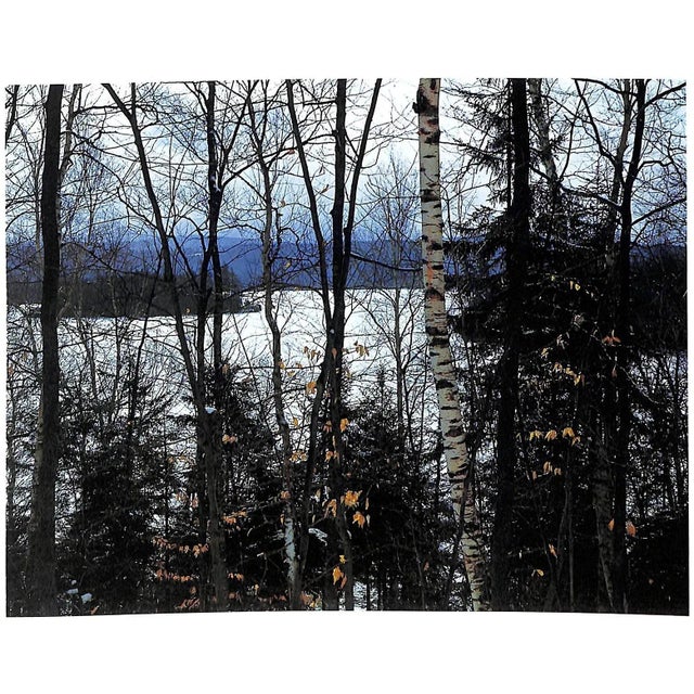 "Forever Wild: The Adirondacks" 1966 Porter, Eliot For Sale - Image 4 of 12