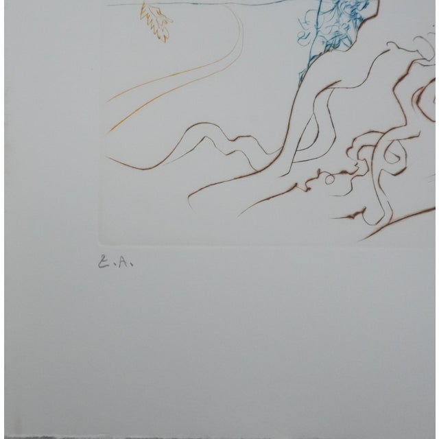 Salvador Dali, Paradise Lost: The Tree of Knowledge, 1974, Engraving For Sale - Image 10 of 11