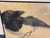 1960s 1961 Original Asian Screen Style Charcoal/Graphite Art, Magpie, by Lincoln, Framed For Sale - Image 5 of 10