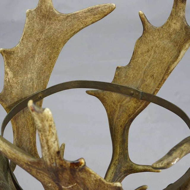 Antique Cabin Decor Antler Basket, Germany Ca. 1900 For Sale - Image 6 of 8