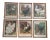 Set of Six English 1880’s Cassell Poultry Lithographs For Sale