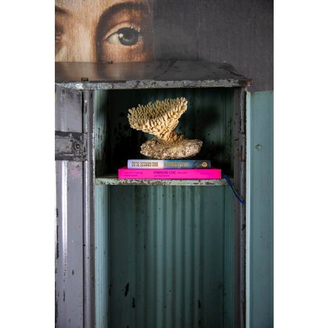 Metal Vintage Metal Cabinet with 5 Doors from the Strafor Company, 1920s For Sale - Image 7 of 11