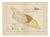 Antique Geological Map of Aruba by Karl Martin, 1888 For Sale