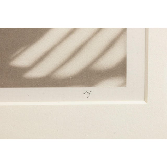 James Ware Pitts - Two Ranunculus on Curved, Striped Background, 1994 Signed For Sale - Image 4 of 8