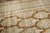 Brown Plant Vase Antique Indian Larestan Rug - 10' x 15'7" For Sale - Image 8 of 9