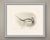 This antique bird print shows a long tailed drake swimming with the slender tail feathers carried high and curving back...