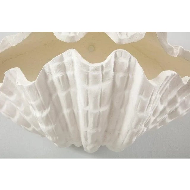 Not Yet Made - Made To Order Bespoke Coquillage Plaster Sconces - a Pair For Sale - Image 5 of 10