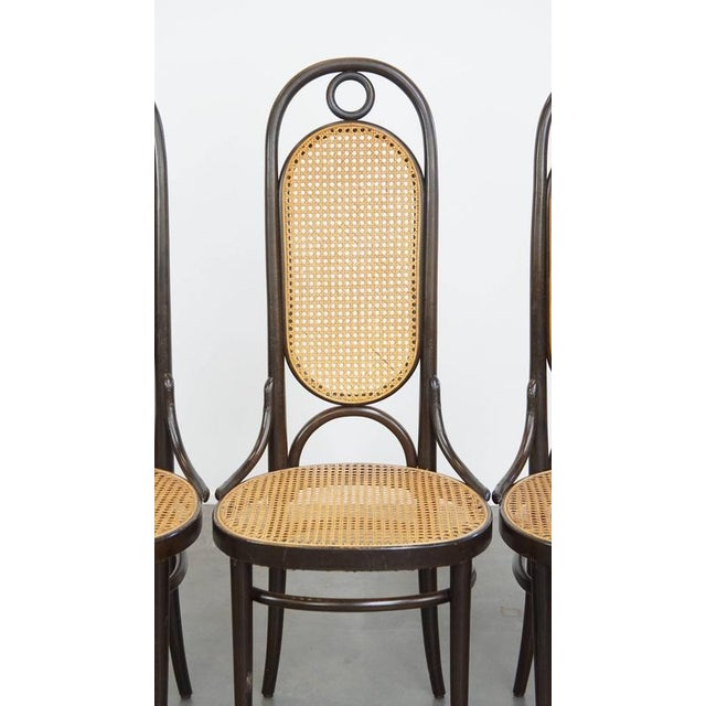 Vintage Bentwood Chairs by Michael Thonet, Set of 4 For Sale - Image 11 of 18