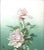 Realism Early 20th Century English Floral Still Life -- Pink and Red Hybrid Tea Roses by L. Griffin For Sale - Image 3 of 6