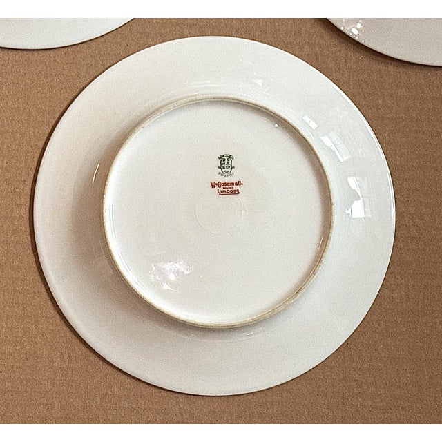 Early 20th Century French Limoges Bird of Paradise Plates - 6 1/4" For Sale - Image 5 of 7