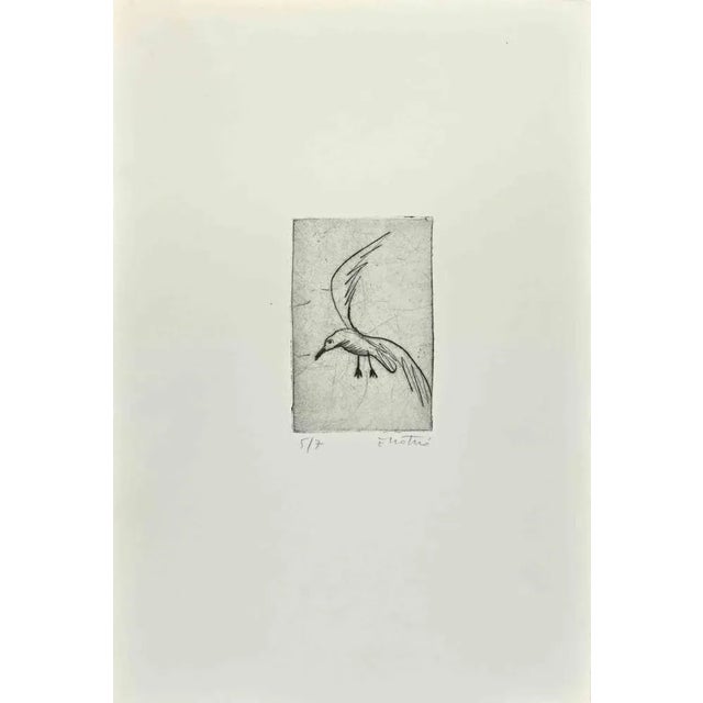 Seagull is an Etching realized by Enotrio Pugliese in 1963. Limited edition of 7 copies numbered and signed by the artist....