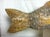Chinese Early 20th Century Lucky Fish Carving For Sale - Image 3 of 13