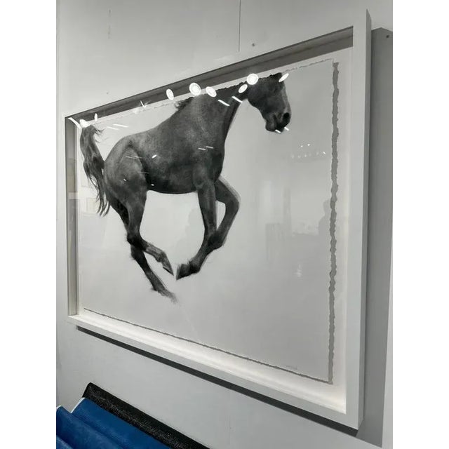 Patsy McArthur, Jumping Horse, 2024, Charcoal on Fabriano Paper, Framed For Sale - Image 4 of 6