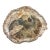 Vintage Petrified Wood Specimen Slab Catchall Tray, Sculptural Decor For Sale