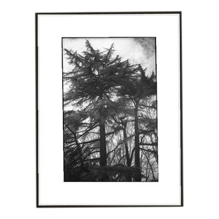 Paul Cooklin, Rome 00002, Edition of 50 For Sale