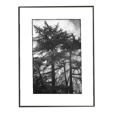 Paul Cooklin, Rome 00002, Edition of 50 For Sale