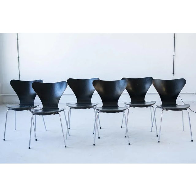 Series 7 Chairs by Arne Jacobsen for Fritz Hansen, 1955, Set of 6 For Sale - Image 6 of 13