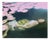 Milena Kwiatkowska, No Title, Series: Suspended in Time, Ophelia, 2026, Oil on Canvas For Sale