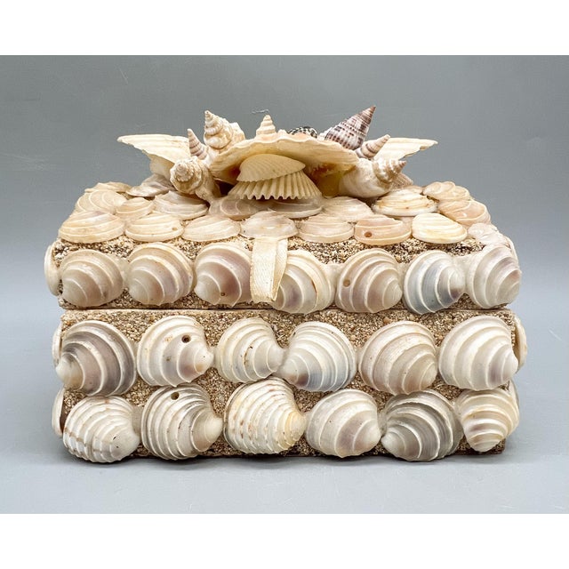 Maitland - Smith Vintage Handmade Seashell Encrusted Lidded Box – Coastal / Organic Modern For Sale - Image 4 of 14