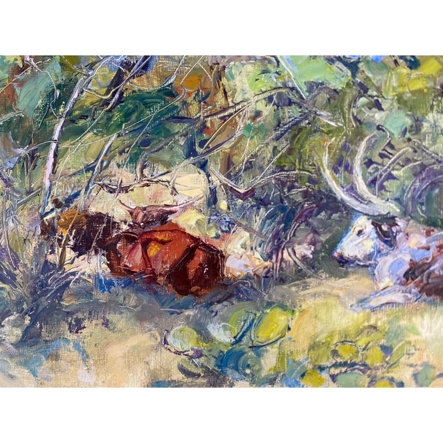 2020s "Afternoon Shade"~ Lorie Batson, Original Oil Painting. A Sunlit Scene That Depicts Cows Resting Under Mesquite Trees in Texas. For Sale - Image 5 of 13