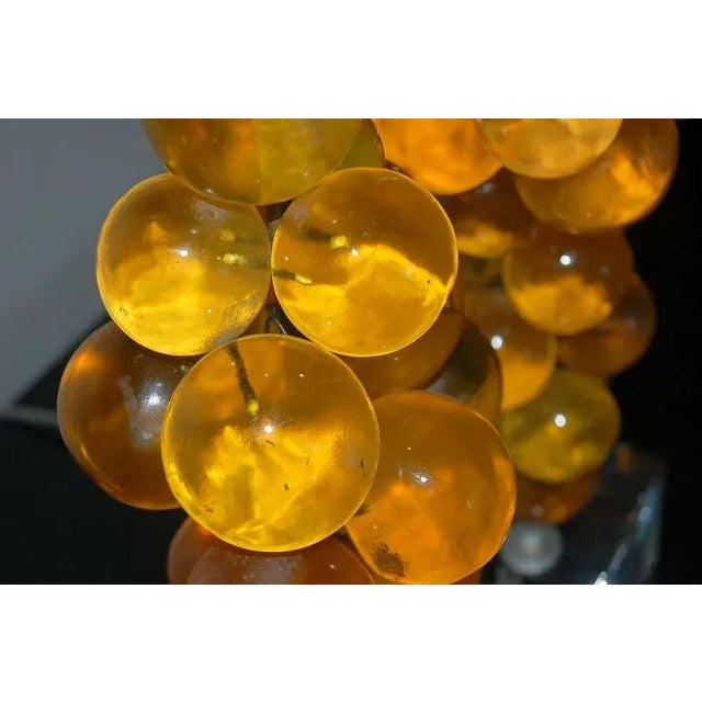 Metal Vintage Butterscotch Resin Lamps by Silvano Pantani 1966 For Sale - Image 7 of 9