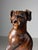 Hand-Carved Statue of Dog Saint Rocco, 18th Century For Sale - Image 13 of 18