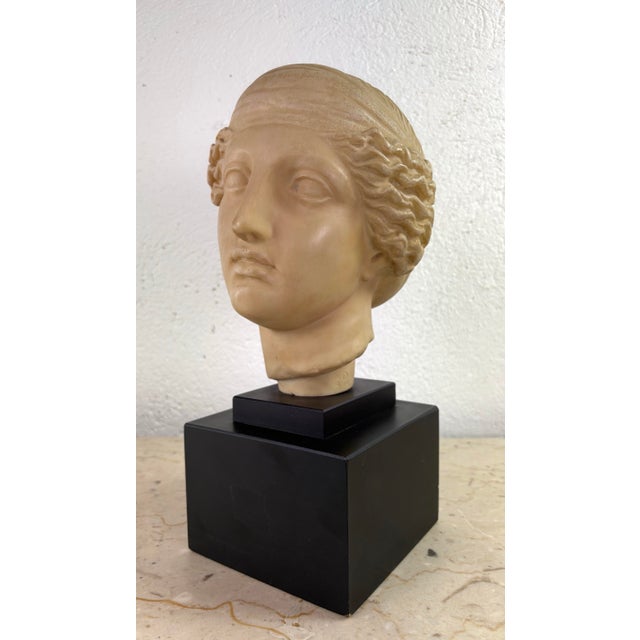 Sculpture Materials Vintage Classical Greco Roman Style Female Bust Sculpture For Sale - Image 7 of 7