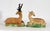 Late 18th Century 18th Century Ralph Wood-Type Stag and Hind Pearlware Pottery Figures For Sale - Image 5 of 15