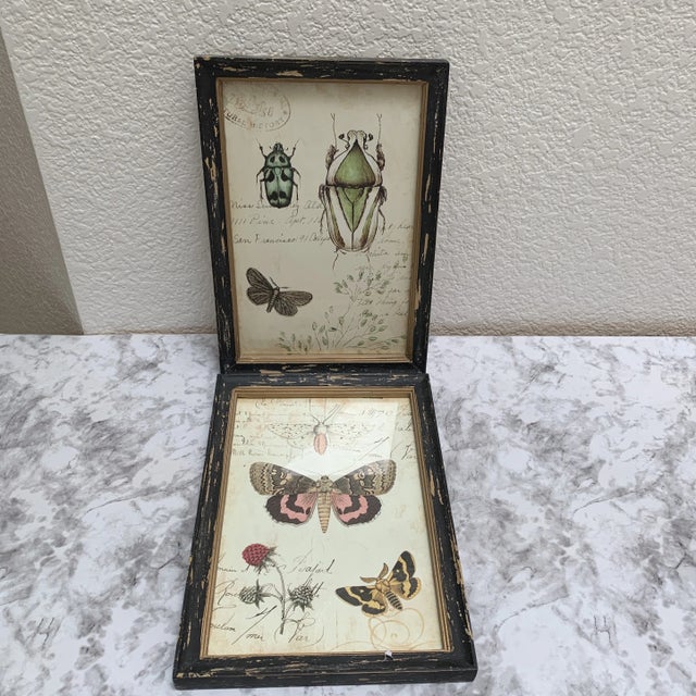 Wood Rustic Framed Bug & Butterfly Wall Decor Prints, Set of Two For Sale - Image 7 of 8