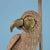 Macaw Floor Lamp by Mario Lopez Torres For Sale In West Palm - Image 6 of 10