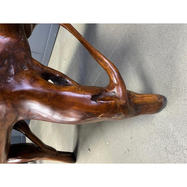 Large Olive Tree Root Chairs, 1960s, Set of 5 For Sale - Image 12 of 18