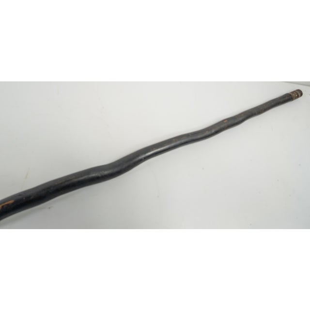 19th Century American Folk Art Carved Bird Eagle Head Cane or Walking Stick For Sale - Image 14 of 18