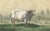 19th Century Emilie, Durham Shorthorn Cow of Corbon, 1873, Paper For Sale - Image 5 of 12