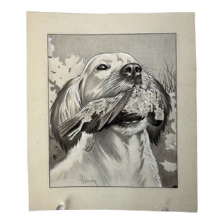 1940s Original Signed Graphite Illustration of Retriever With Grouse, 8.5 × 10 In. For Sale