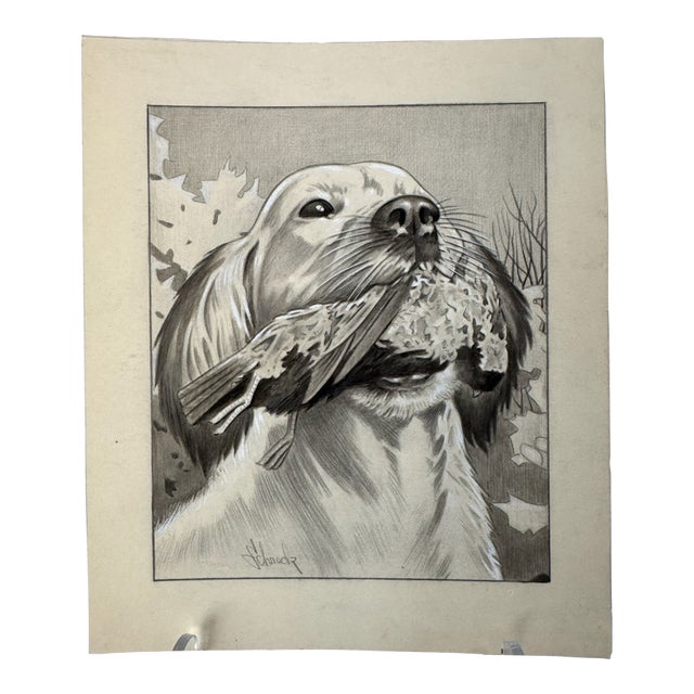 1940s Original Signed Graphite Illustration of Retriever With Grouse, 8.5 × 10 In. For Sale